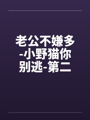 老公不嫌多-小野猫你别逃by佚名笔趣阁无弹窗