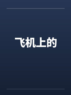 飞机上的