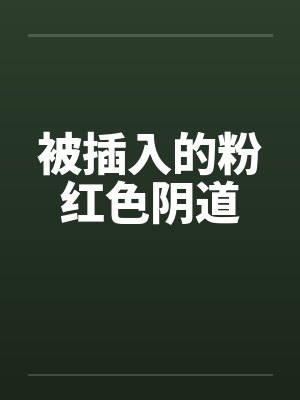 被插入的粉红色阴道笔趣阁无弹窗