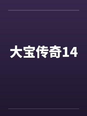 大宝传奇14