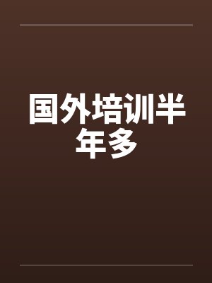 国外培训半年多